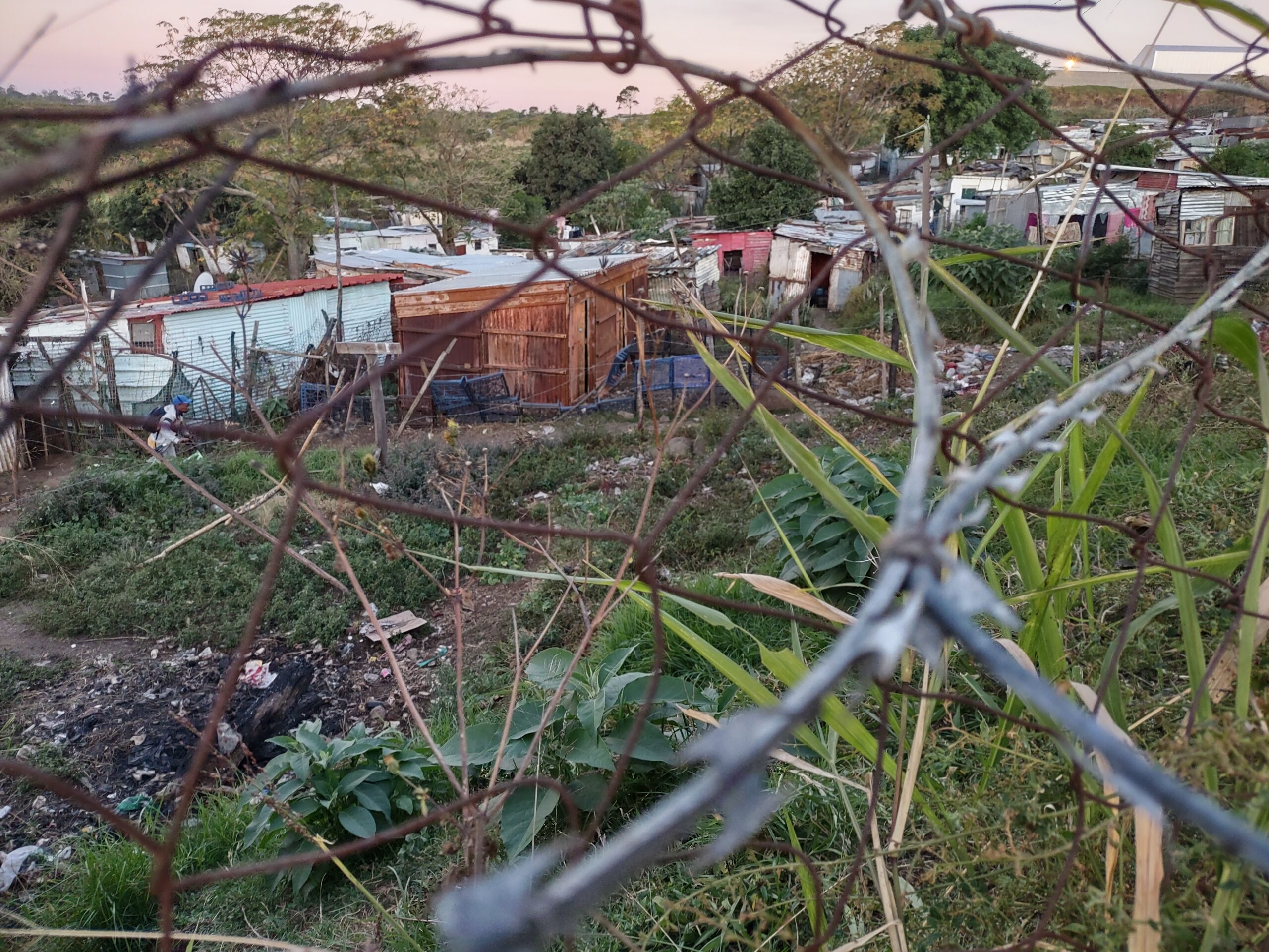 A Lunch, a Fishing Net, and the God Who Brings Stories Together